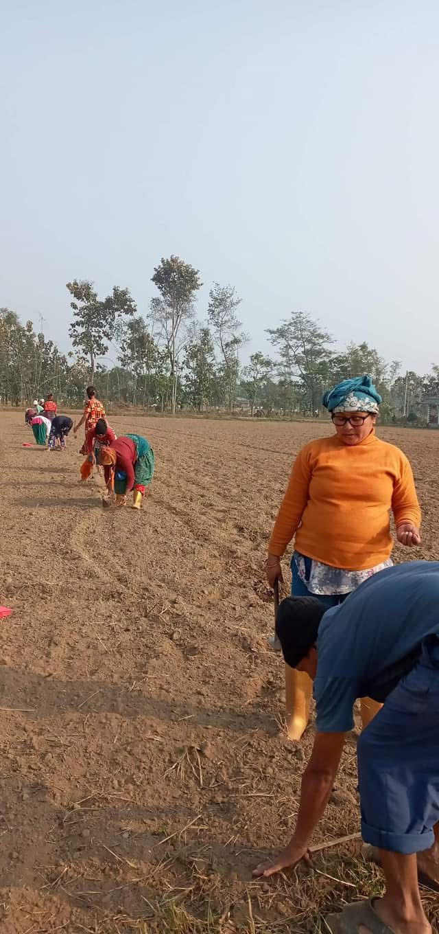 Agriculture Support Program